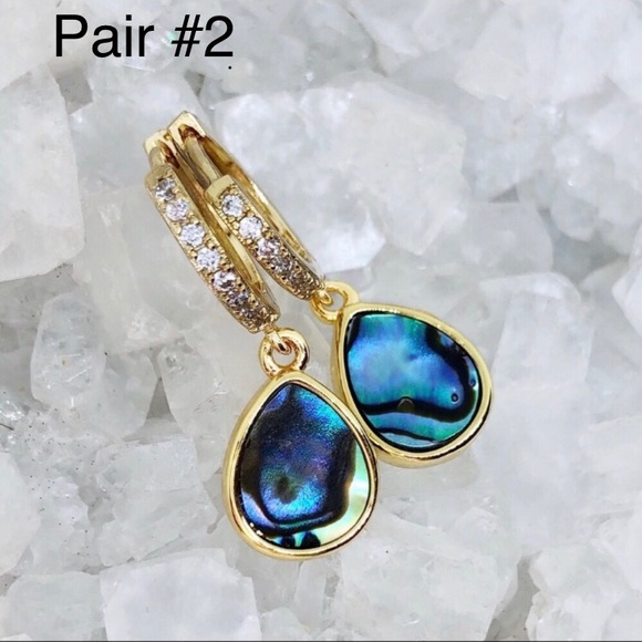 Natural Abalone Shell Earrings - Picture 3 of 4